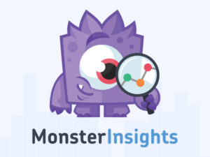 MonsterInsights + Addons – Google Analytics Plugin for WordPress 9.11.0