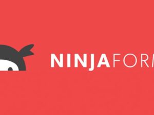 Ninja Forms + Pro Addons – WordPress Forms Plugin 3.14.0