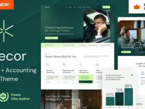 Execor – Accounting and Management Consulting WordPress Theme 16.0