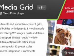 Media Grid – WordPress Responsive Portfolio 9.2.1