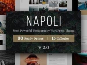 Napoli – Photography WordPress Theme 2.4.5