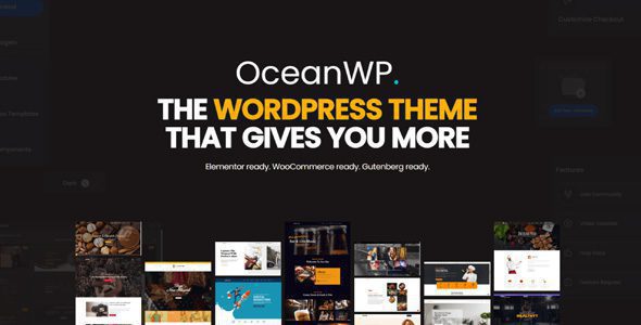 OceanWP + Premium Extensions 4.1.4 1 OceanWP + Premium Extensions 4.1.4