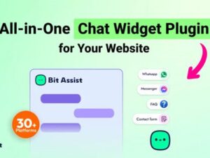 Bit Assist Pro – Widget Plugin For WordPress 1.0.5