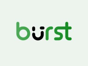 Burst Statistics Pro – Privacy-Friendly Analytics for WordPress 1.2.3