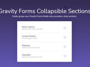 Gravity Forms Collapsible Sections 1.4.7