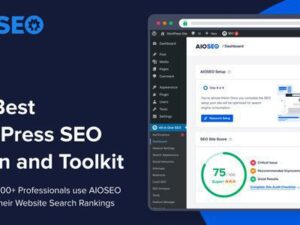 All in One SEO Pack Pro – WordPress SEO Plugin 4.9.0