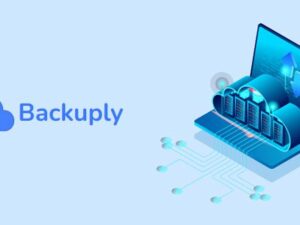 Backuply Pro – Unwavering WordPress Backup Plugin 1.5.4