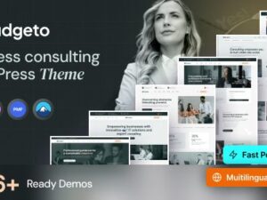 Budgeto – Business Consulting WordPress Theme 1.0.7